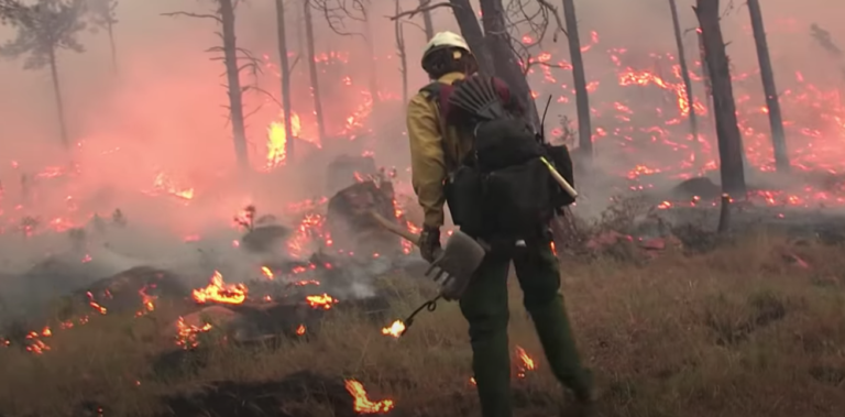 HeartofaFirefighterCAF2020