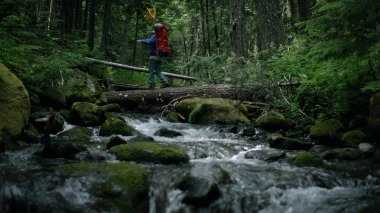 The Dark Divide - David Cross